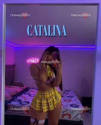 CATALINA   SUPER  FIESTERA