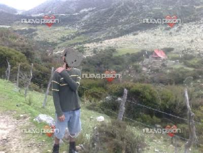 20€ masajes completos las 24horas