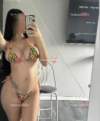 Novedad ven quedarás en cantado