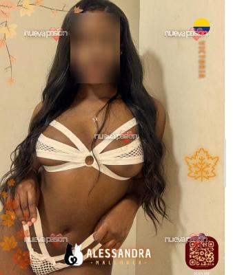 EN CHICLANA DE LA FRONTERA   ARDIENTE FIESTERA NOVEDAD