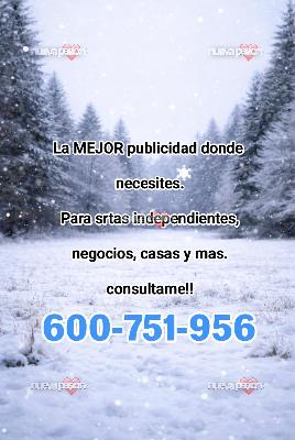 Publicidad efectiva transparencia en gestión