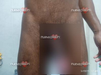 Ola sou moreno, gosto de dar muito prazer, dou muito prazer com a língua e o meu pau de 20,,você tiver alguma fantasia podemos fazer, vou  te dar um prazer inesquecível por isso não exite me chama,