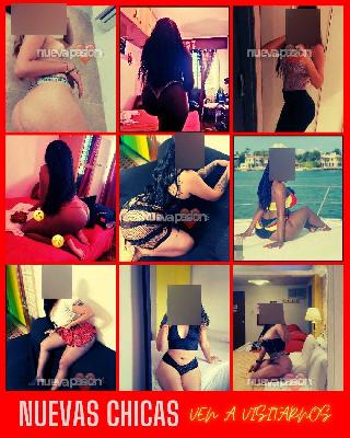 🏡 CHALET PRIVADO | 👩‍🦰 Somos 8 chicas latinas | 📍 Mérida