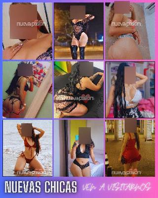 🏡 CHALET PRIVADO | 👩‍🦰 Somos 9 chicas latinas | 📍 Mérida