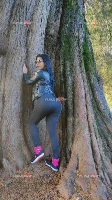 fotografias de travestis y transexuales en españa