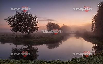 Busco conocer chica fija