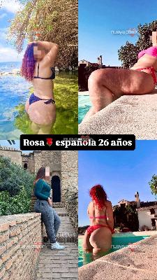 Rosa española 27 años plenilunio