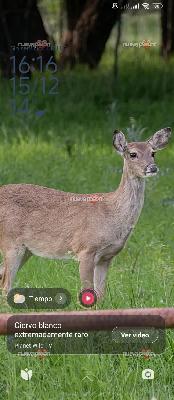 Busco sexo oral mutuo