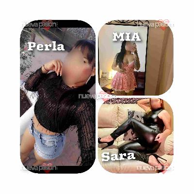 PISO  LAS  GATITAS  31