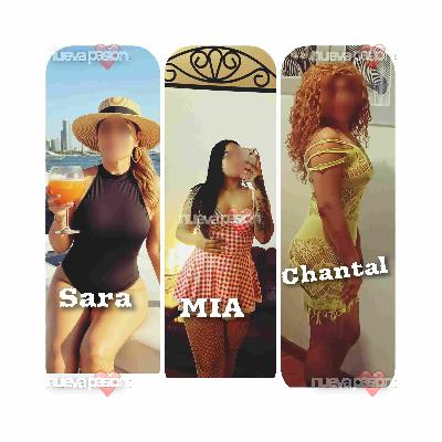 PISO  LAS  GATITAS  31