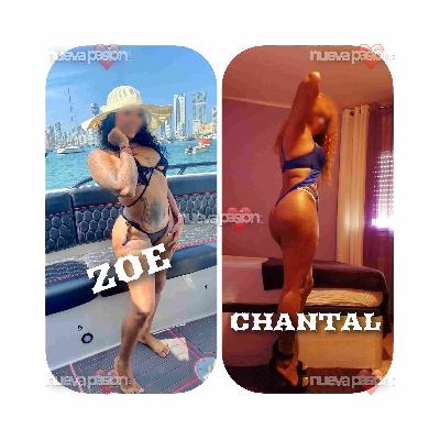 PISO  LAS  GATITAS  31