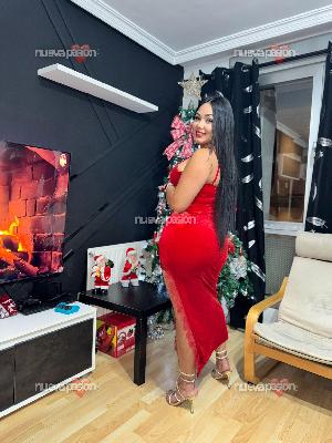 Novedad latina y juguetona real