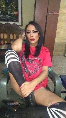 Nicole Honey Bee tu chica Trans Favorita , 34 años ! NO HAGO REAL