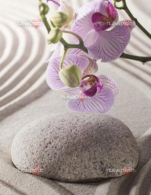 ✨ CASA VALERIA💫 5 Chicas muy ARDIENTES. con GANAS DE COMPLACER 💦