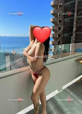 25€  canaria discreta Alcampo laguna