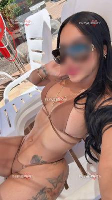 7 CHICAS COMPLACIENTE, VIDEOS EN LA WEB - 24 HORAS