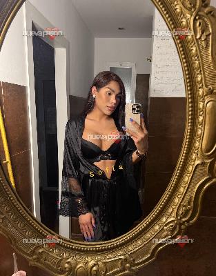 NOVEDAD  SOFÍA, CHICA, TRANS LATINA
