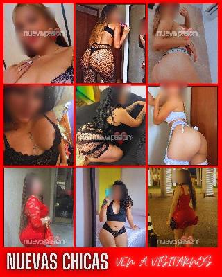🏡 CHALET PRIVADO | 👩‍🦰 Somos 8 chicas latinas | 📍 Mérida