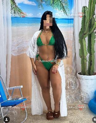 Andrea amorosa latina