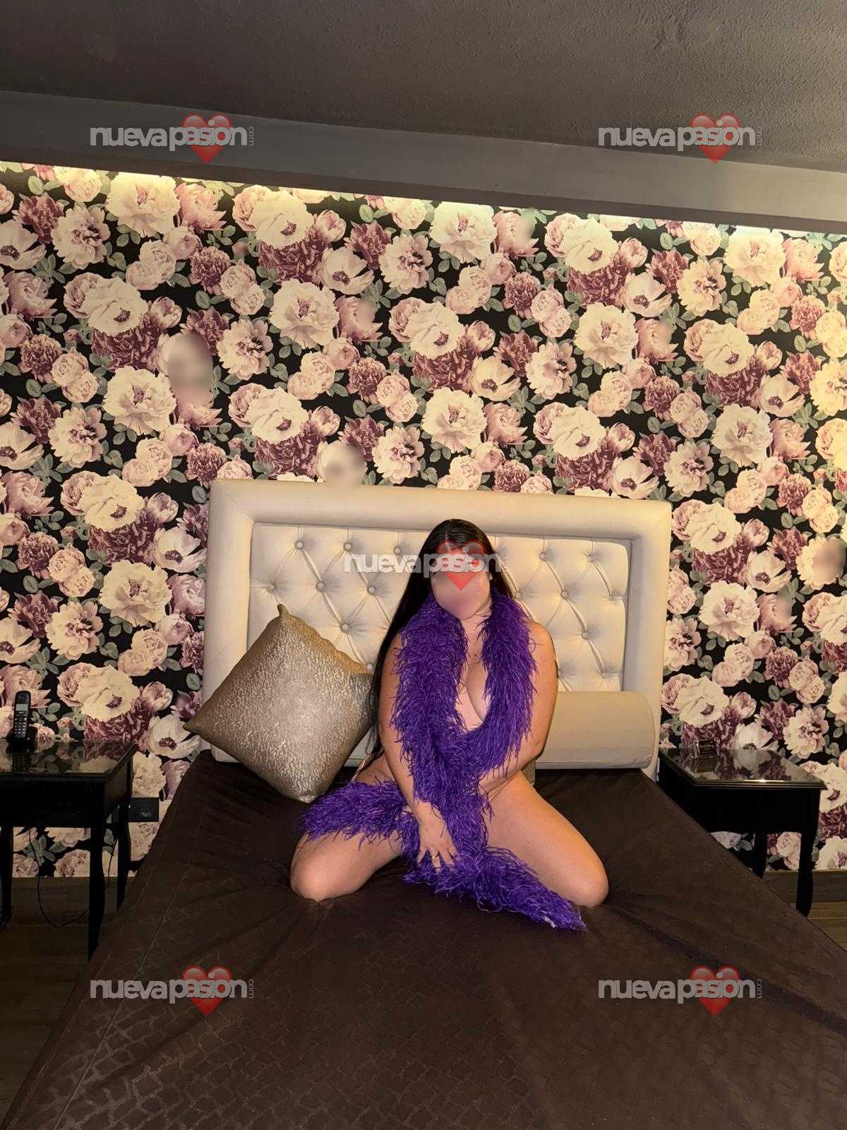 Novedad Ciudad – Valencia photo 3