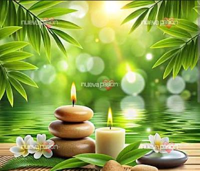 Plaza disponibles en centro de Bilbao