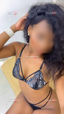 Bella Mulata Exotica conn Curvas de Infarto