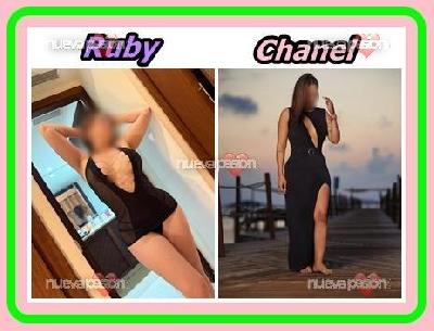 🔝👑LAS REINAS DEL MORBO😜💦COMPLETAS Y ATREVIDAS 😈🔥