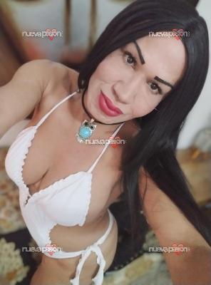 TRANS ELEGANCIA, DOMINIO Y EXPERIENCIAS EXCLUSIVAS
