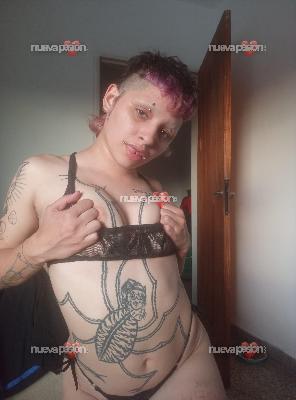 fotografias de nuestras putas y escorts