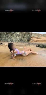 Quiero que cosas mi culo rico