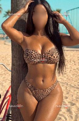 Dania novedad en tu zona